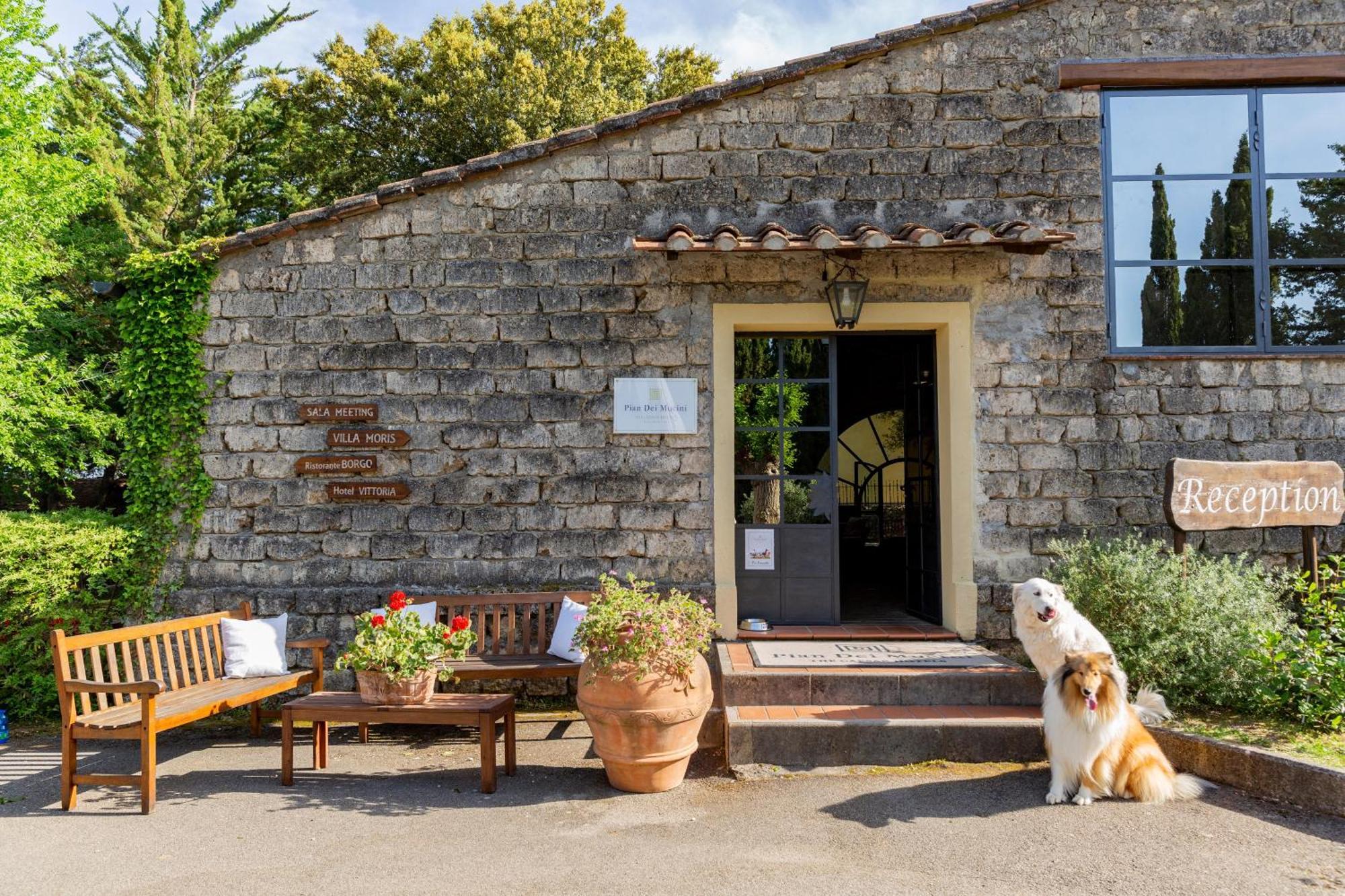 Pian Dei Mucini Resort Massa Marittima Luaran gambar